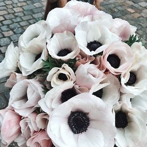 Meet your Posher, Yvette